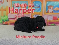 processed/2c0f7daa-3c58-4b05-bcf1-b9562933789e/listing/154a7287-b638-4316-91e0-33a76b772a13/c5edd023-c106-4707-b58e-04cdadcc7fee