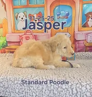 processed/2c0f7daa-3c58-4b05-bcf1-b9562933789e/listing/1d6d0f65-6c28-488f-8a6a-bc0bfcdc4b4e/3d7c35a0-562e-42a1-9c82-1095aca93c1f