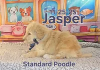 processed/2c0f7daa-3c58-4b05-bcf1-b9562933789e/listing/1d6d0f65-6c28-488f-8a6a-bc0bfcdc4b4e/92ac53b1-8976-4272-9bd9-7ef243b73a47