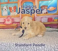 processed/2c0f7daa-3c58-4b05-bcf1-b9562933789e/listing/1d6d0f65-6c28-488f-8a6a-bc0bfcdc4b4e/b87a5526-e9d8-494b-80a3-7c3e51aa50ab