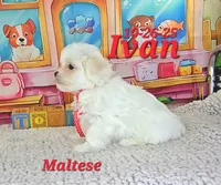 processed/2c0f7daa-3c58-4b05-bcf1-b9562933789e/listing/4acedf99-1e11-4256-a1cf-e78a49ff082e/18d06846-cb99-48eb-b52a-6fdae1157f2b