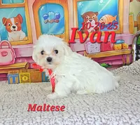 processed/2c0f7daa-3c58-4b05-bcf1-b9562933789e/listing/4acedf99-1e11-4256-a1cf-e78a49ff082e/2cdac347-4dd7-4158-a984-5b83b5cd57d9