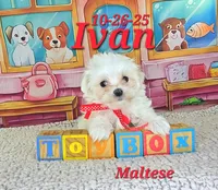 processed/2c0f7daa-3c58-4b05-bcf1-b9562933789e/listing/4acedf99-1e11-4256-a1cf-e78a49ff082e/b74a54b4-11c4-4d95-acc2-a53639dec21a