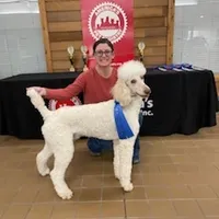 Jyla🩷, a female Poodle - Standard  for sale in Barnett, MO – Photo 8 of 8