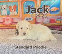 processed/2c0f7daa-3c58-4b05-bcf1-b9562933789e/listing/83717d10-331c-4a8f-aace-081ad0f1790f/049287fd-4c65-49ae-9cad-113950e4f5ab