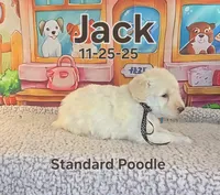 processed/2c0f7daa-3c58-4b05-bcf1-b9562933789e/listing/83717d10-331c-4a8f-aace-081ad0f1790f/394f7c3c-4813-4465-9a03-12aca3f509b9