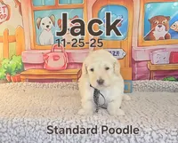 processed/2c0f7daa-3c58-4b05-bcf1-b9562933789e/listing/83717d10-331c-4a8f-aace-081ad0f1790f/942652b8-7b52-4ca6-a2ce-36d6251a8856