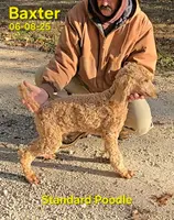 processed/2c0f7daa-3c58-4b05-bcf1-b9562933789e/listing/ba78135e-d23b-43cd-ad77-2c3e71e9fda6/46658e74-bd9f-4edb-b754-58a8c403abbe