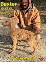 processed/2c0f7daa-3c58-4b05-bcf1-b9562933789e/listing/ba78135e-d23b-43cd-ad77-2c3e71e9fda6/dce51d8a-ff47-45ac-9a77-dfdee1473ba1