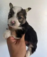 processed/2c1d4019-27e0-48f8-b4d3-8a2902ebf29b/listing/5dfacc10-7944-41bd-8841-ea0697818eb4/b058d22e-fea0-4a0d-b1a8-4d35a4b7e8bd