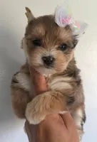 processed/2c1d4019-27e0-48f8-b4d3-8a2902ebf29b/listing/7a1b6e70-bbdd-42ad-bdb7-bfbd65db2a3c/67c2ff67-0471-45d5-a4a4-198d534b56bc