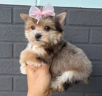 processed/2c1d4019-27e0-48f8-b4d3-8a2902ebf29b/listing/7a1b6e70-bbdd-42ad-bdb7-bfbd65db2a3c/836ea4bf-55c6-432b-b76b-b1894f9c170c