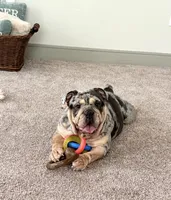 processed/2c24ec63-4a5b-4806-88ae-a602f47cef67/listing/6029e84d-34fe-4453-b3a5-6f6eec2fb6b4/473e95b1-29fb-41c8-9fd4-4bc0a7e10a75