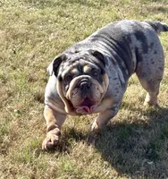 processed/2c24ec63-4a5b-4806-88ae-a602f47cef67/listing/6029e84d-34fe-4453-b3a5-6f6eec2fb6b4/62d8623f-be1f-4f8d-8530-2e7cab03c988