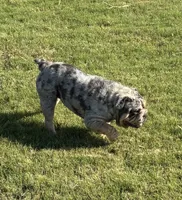 processed/2c24ec63-4a5b-4806-88ae-a602f47cef67/listing/6029e84d-34fe-4453-b3a5-6f6eec2fb6b4/65d80907-0228-4630-9e6d-65d5ab46fd9a