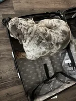 processed/2c24ec63-4a5b-4806-88ae-a602f47cef67/listing/6029e84d-34fe-4453-b3a5-6f6eec2fb6b4/c07e48de-9cdf-40cb-a839-5e9006e5168a