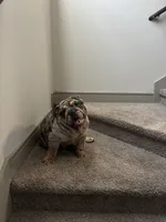 processed/2c24ec63-4a5b-4806-88ae-a602f47cef67/listing/6029e84d-34fe-4453-b3a5-6f6eec2fb6b4/d2cb2976-e39d-47c9-b76d-b0c67eaad55c