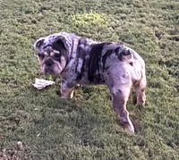 processed/2c24ec63-4a5b-4806-88ae-a602f47cef67/listing/6029e84d-34fe-4453-b3a5-6f6eec2fb6b4/f0d161aa-2731-4c24-b3ce-66bb0695bfe3