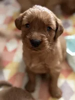 processed/2c27bf21-0847-45cf-8a74-5b46547534bd/facility/58a46db2-fb38-4d46-be3d-dc55b536c8b0