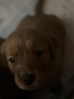 processed/2c27bf21-0847-45cf-8a74-5b46547534bd/facility/f34bd3bf-315e-4481-ab83-9f81dcbbc6e1