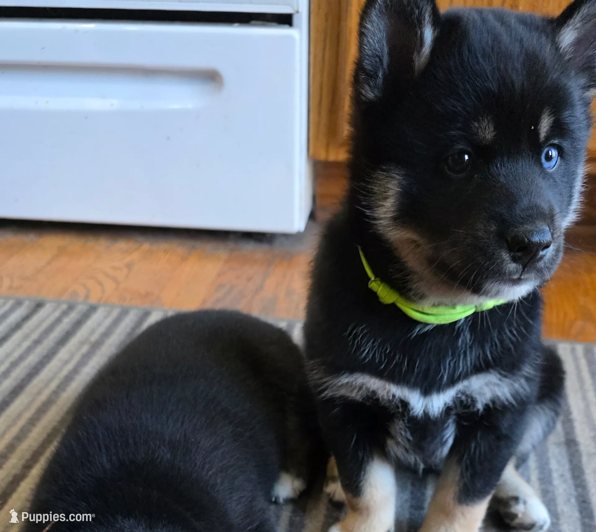 processed/2c2c3805-3c3f-4678-9feb-c051a11c23a7/listing/b7e060e3-2e67-4ec3-9a96-9a7afecdece1/04700ddb-798d-4cba-bd67-2b7752bbe144