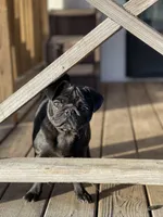 processed/2c2d1e69-ec78-41d5-8508-b009e2e8adf2/facility/69ee5d50-d2aa-4e55-8481-252e833e93b1