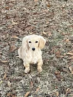 processed/2c2d1e69-ec78-41d5-8508-b009e2e8adf2/facility/77ea9bb6-7875-46fc-801f-7553dced70c8