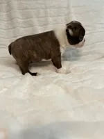 processed/2c2d1e69-ec78-41d5-8508-b009e2e8adf2/listing/3875e53f-dbb1-4ee8-859b-7204a562327e/078a82af-80a0-4f48-ab6d-6b6b8c426dc5