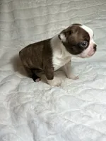 processed/2c2d1e69-ec78-41d5-8508-b009e2e8adf2/listing/3875e53f-dbb1-4ee8-859b-7204a562327e/0e6015ed-1afd-450d-93b0-008f2b718daf