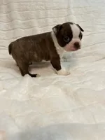 processed/2c2d1e69-ec78-41d5-8508-b009e2e8adf2/listing/3875e53f-dbb1-4ee8-859b-7204a562327e/22396c16-d32a-4496-a9ec-1fd5d12413a9