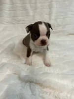 processed/2c2d1e69-ec78-41d5-8508-b009e2e8adf2/listing/3875e53f-dbb1-4ee8-859b-7204a562327e/aaa9628e-edb3-445b-b0a4-b4b5d30ca088