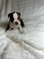 processed/2c2d1e69-ec78-41d5-8508-b009e2e8adf2/listing/3875e53f-dbb1-4ee8-859b-7204a562327e/b535e641-77bf-49d3-ab39-259a809a3cc4