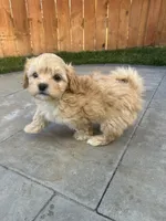 processed/2c334ca9-fa96-4211-9039-27d8a511b611/listing/e4f05789-ab62-4965-b92c-8f6dd132f817/c8ace9b5-5da9-4737-a017-351f3745c1de