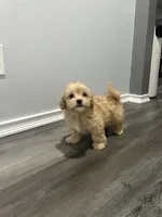 processed/2c334ca9-fa96-4211-9039-27d8a511b611/listing/e4f05789-ab62-4965-b92c-8f6dd132f817/d8dca73d-bf84-497b-a9cd-c0c208db1686