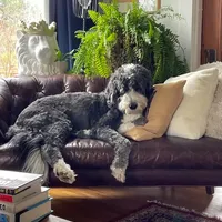 processed/2c36266f-17f9-4dcd-8de8-045b9b3c9e58/facility/0aeba6d5-b8bf-40bd-adf1-90e74df45761