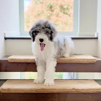 processed/2c36266f-17f9-4dcd-8de8-045b9b3c9e58/facility/54613a9b-0dfc-48ba-a938-c7d8cf065ef1