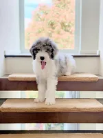 processed/2c36266f-17f9-4dcd-8de8-045b9b3c9e58/facility/54613a9b-0dfc-48ba-a938-c7d8cf065ef1