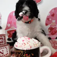 processed/2c36266f-17f9-4dcd-8de8-045b9b3c9e58/facility/5599005d-beae-45a2-be03-3b45348c35d9