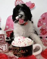 processed/2c36266f-17f9-4dcd-8de8-045b9b3c9e58/facility/5599005d-beae-45a2-be03-3b45348c35d9