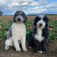 processed/2c36266f-17f9-4dcd-8de8-045b9b3c9e58/facility/7b3cfb96-c602-4b7a-8580-9031acc09bd0