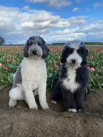 processed/2c36266f-17f9-4dcd-8de8-045b9b3c9e58/facility/7b3cfb96-c602-4b7a-8580-9031acc09bd0