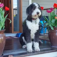 processed/2c36266f-17f9-4dcd-8de8-045b9b3c9e58/facility/94be9f4c-3afe-4ca6-9658-a1f5f3694e7c