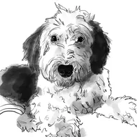 processed/2c36266f-17f9-4dcd-8de8-045b9b3c9e58/facility/a3438166-8425-44b0-a52e-f13fe6c039c8