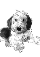 processed/2c36266f-17f9-4dcd-8de8-045b9b3c9e58/facility/a3438166-8425-44b0-a52e-f13fe6c039c8