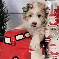 processed/2c36266f-17f9-4dcd-8de8-045b9b3c9e58/facility/d0729a8f-2fc4-4f42-89ed-7f43a7dafdde