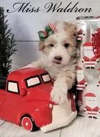 processed/2c36266f-17f9-4dcd-8de8-045b9b3c9e58/facility/d0729a8f-2fc4-4f42-89ed-7f43a7dafdde