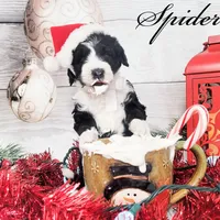 processed/2c36266f-17f9-4dcd-8de8-045b9b3c9e58/facility/f93cffad-21f6-4d68-8962-c30a122493ba