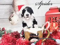 processed/2c36266f-17f9-4dcd-8de8-045b9b3c9e58/facility/f93cffad-21f6-4d68-8962-c30a122493ba