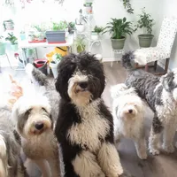 processed/2c36266f-17f9-4dcd-8de8-045b9b3c9e58/facility/fa708e67-9c16-4b6d-ac88-051770c2b898