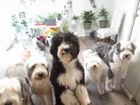 processed/2c36266f-17f9-4dcd-8de8-045b9b3c9e58/facility/fa708e67-9c16-4b6d-ac88-051770c2b898